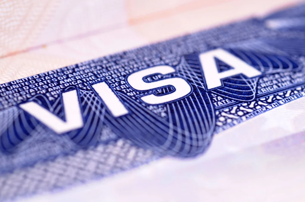 Image featuring the phrase "visa" multiple times, emphasizing the need to know about visa overstay consequences.