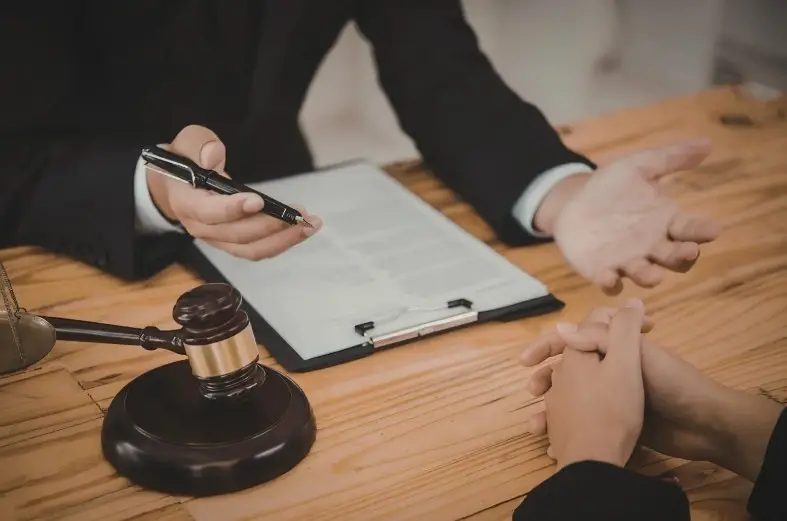 Immigration attorney discussing federal mandamus lawsuit against USCIS for delayed immigration cases